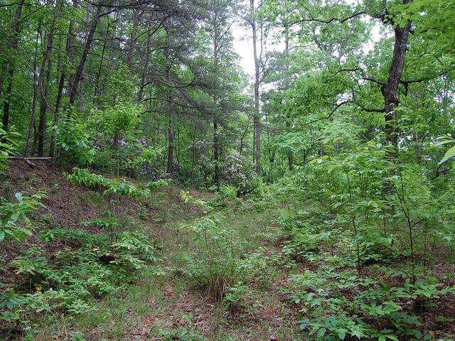 Photo of 5 Queensmoor Road