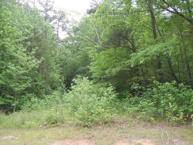 Photo of 5 Queensmoor Road