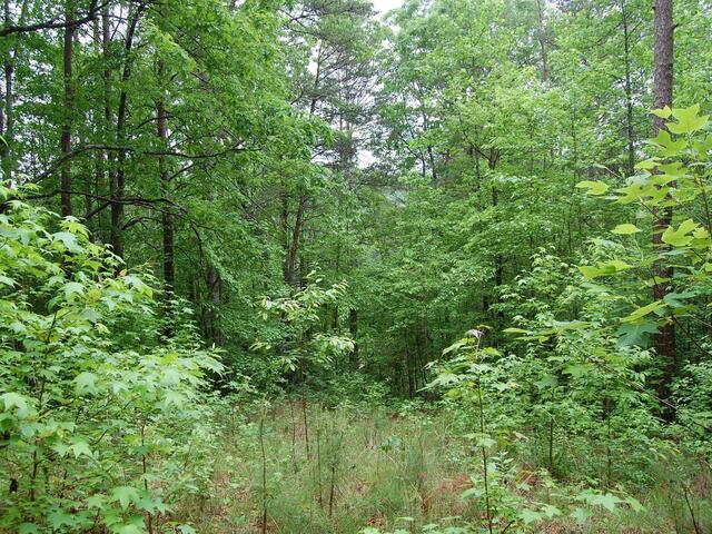 Photo of 5 Queensmoor Road