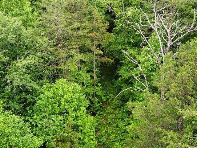 Photo of 5 Queensmoor Road