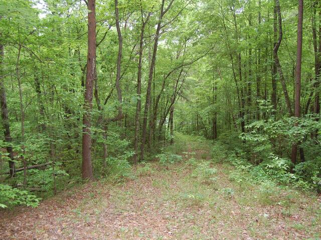 Photo of 5 Queensmoor Road