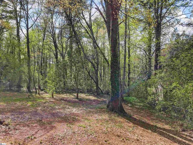Photo of 313 Tubbs Mountain Road