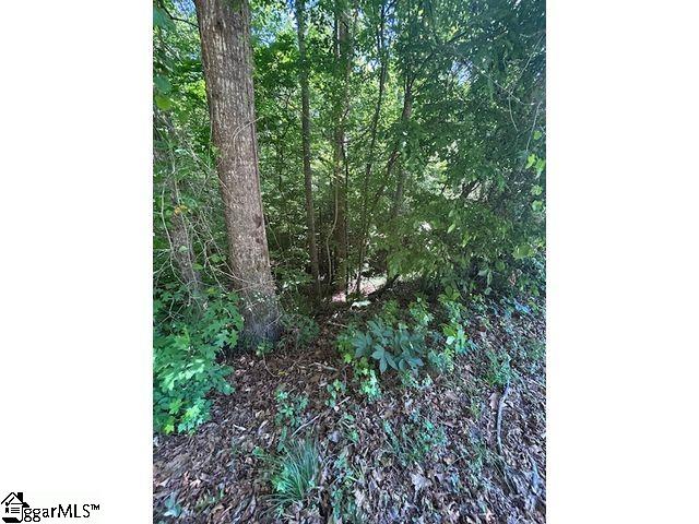 Photo of 0 Sitton Mill Road