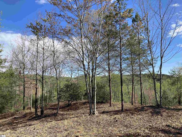 Photo of 775 Blue Bonnet Trail