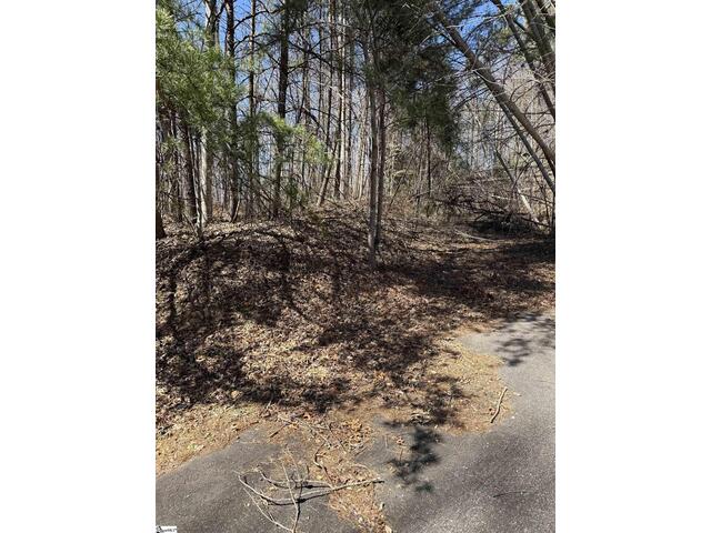 Photo of Links Ledge