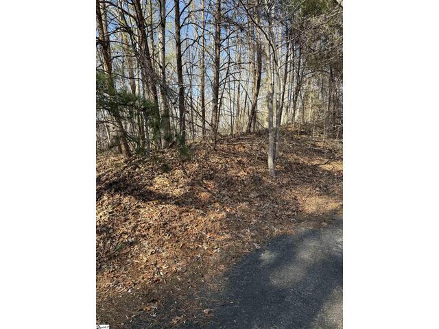 Photo of Links Ledge