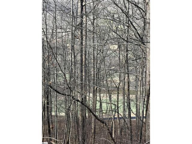 Photo of Links Ledge