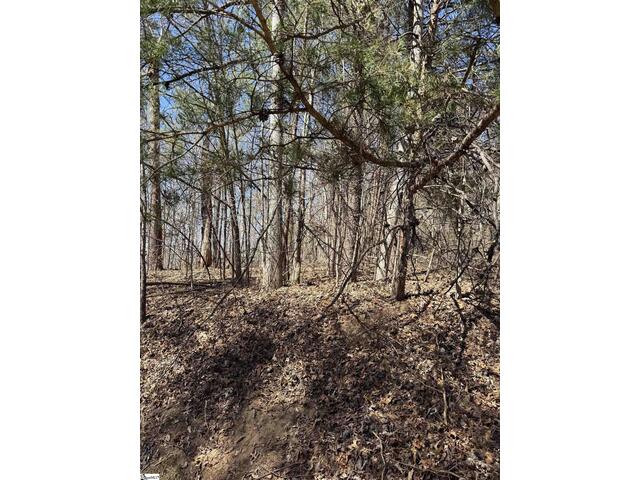 Photo of Links Ledge