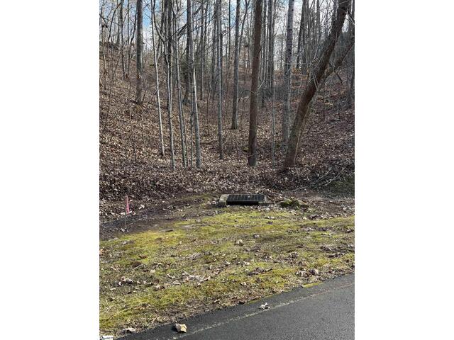 Photo of Links Ledge