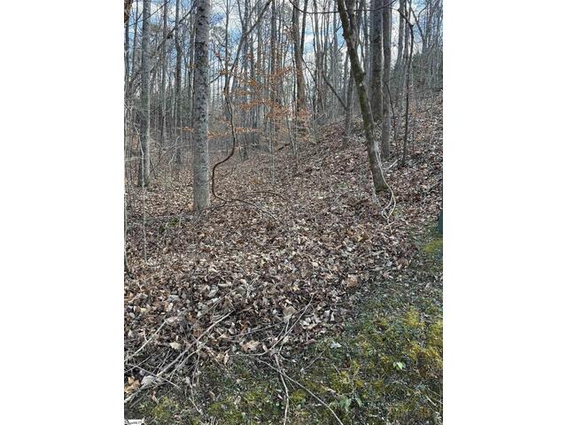 Photo of Links Ledge