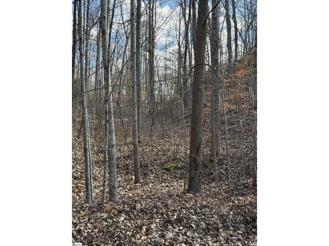 Photo of Links Ledge