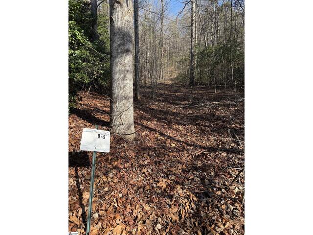 Photo of 24 Windswept Lane