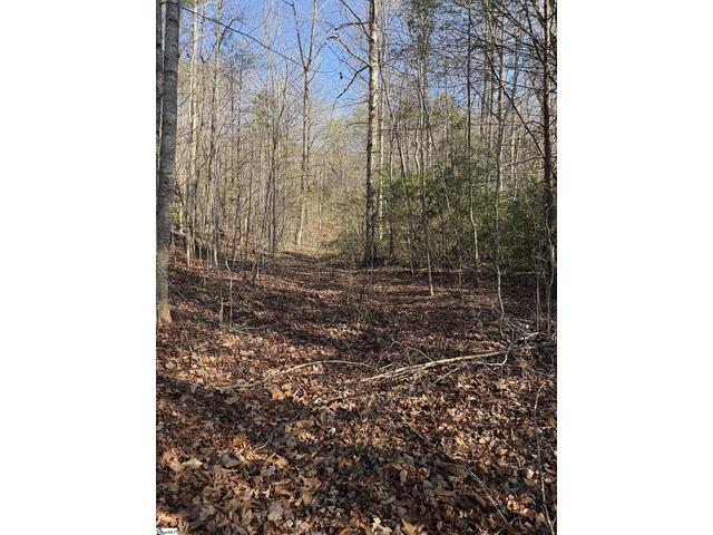 Photo of 24 Windswept Lane