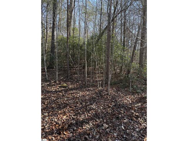 Photo of 24 Windswept Lane