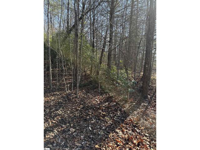 Photo of 24 Windswept Lane