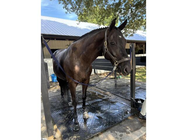 Photo of 1240,1241,1242 SE Audubon Drive