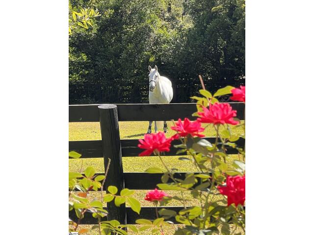 Photo of 1240,1241,1242 SE Audubon Drive