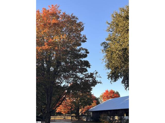 Photo of 1240,1241,1242 SE Audubon Drive