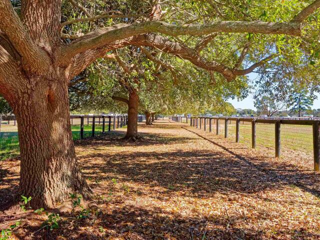 Photo of 1240,1241,1242 SE Audubon Drive