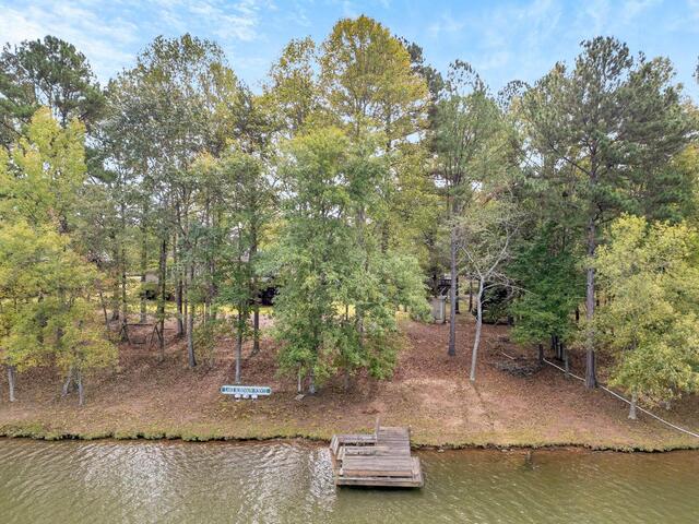 Photo of 125 Lake Robinson Pointe