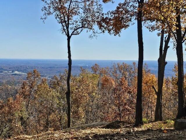 Photo of 225 Lost Trail Drive