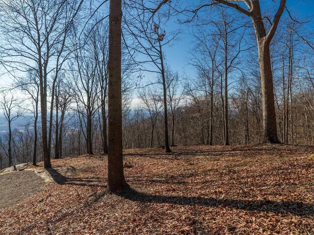 Photo of 225 Lost Trail Drive