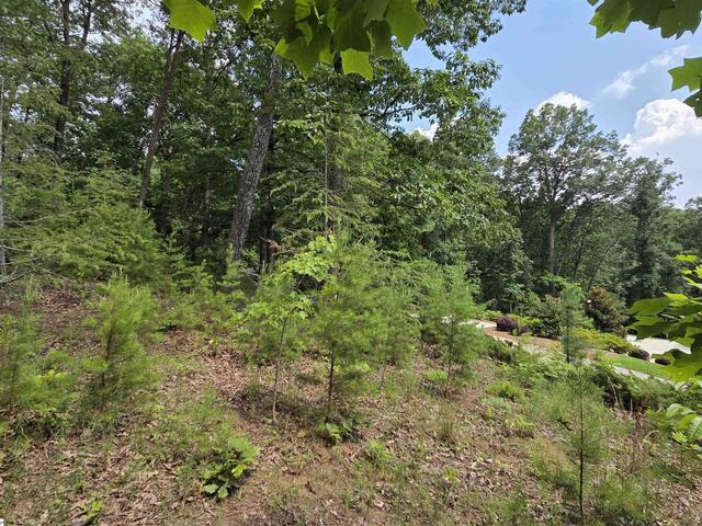 Photo of 219 Luberon Lane