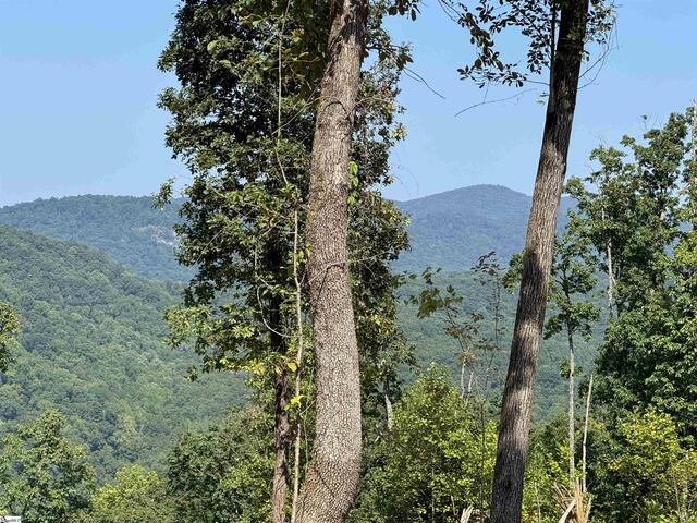 Photo of 200 Chestnut Mountain Road