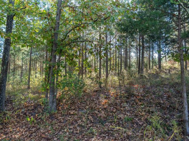 Photo of 735 Gwinn Mill Road