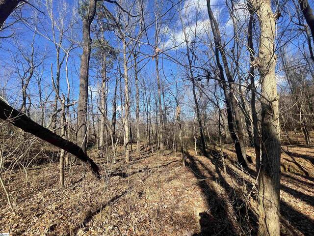 Photo of 00 Mill Creek Road