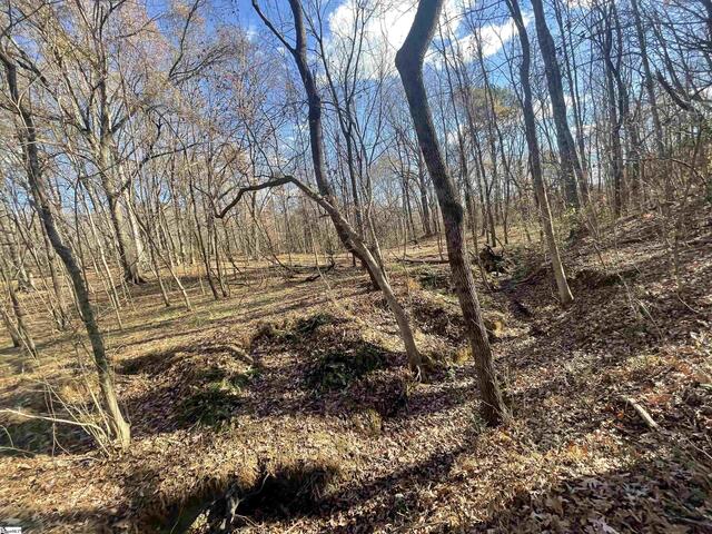 Photo of 00 Mill Creek Road