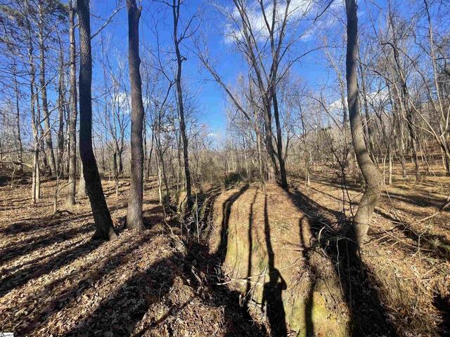Photo of 00 Mill Creek Road