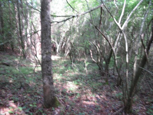 Photo of 11A Midway Road