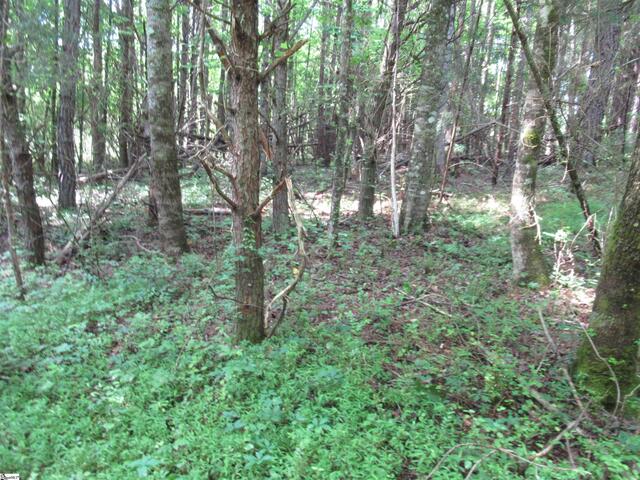 Photo of 11A Midway Road