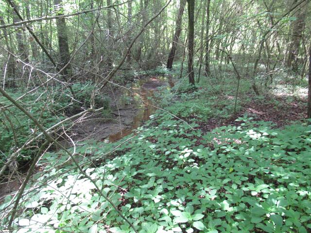 Photo of 11A Midway Road