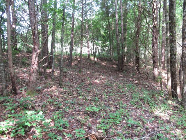 Photo of 11A Midway Road