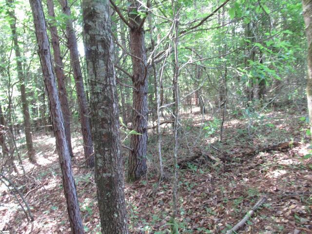 Photo of 11A Midway Road
