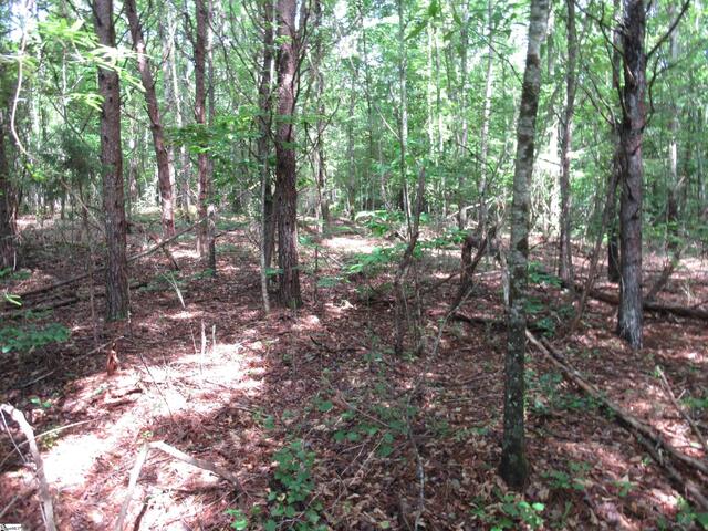 Photo of 11A Midway Road