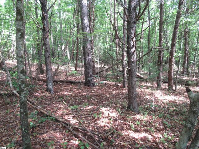 Photo of 11A Midway Road