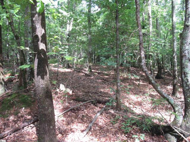 Photo of 11A Midway Road