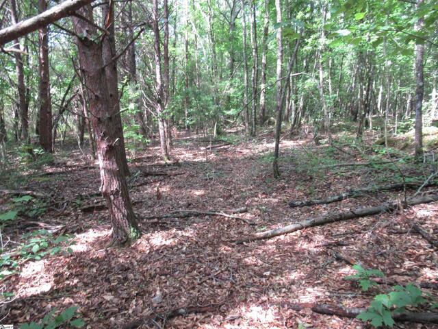 Photo of 11A Midway Road