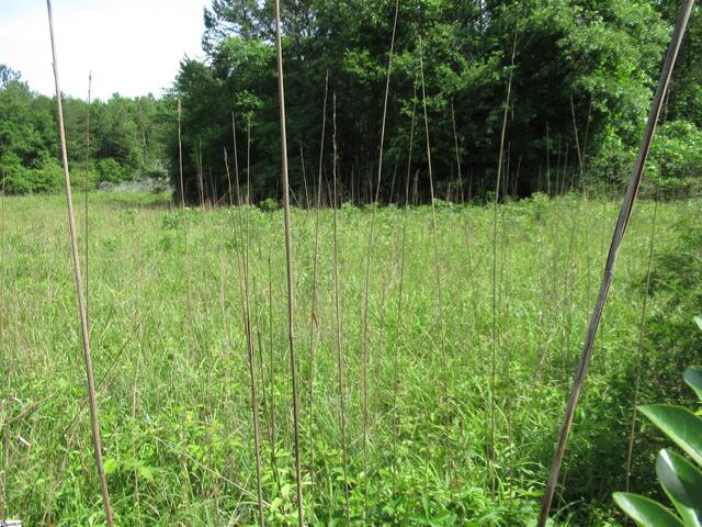 Photo of 11A Midway Road