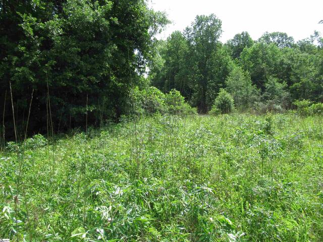 Photo of 11A Midway Road