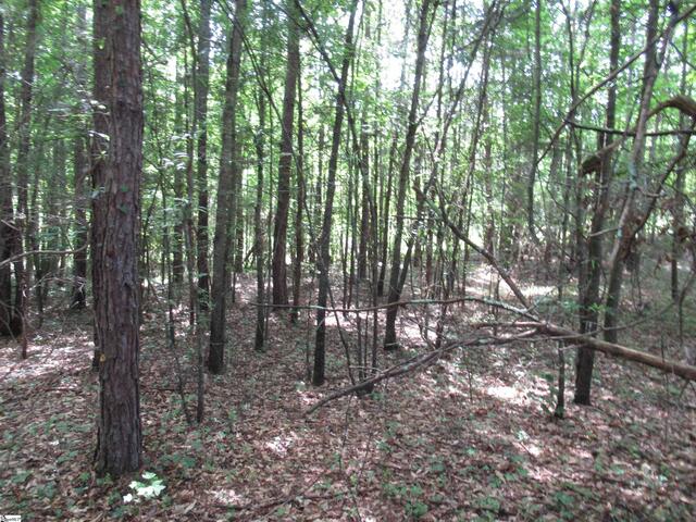 Photo of 11A Midway Road