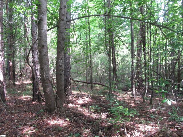 Photo of 11A Midway Road