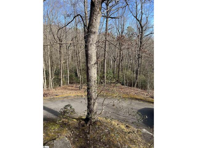 Photo of TBD Woodbine Road