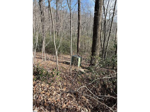 Photo of TBD Woodbine Road