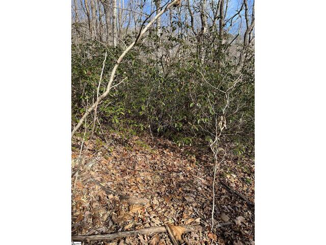 Photo of TBD Woodbine Road