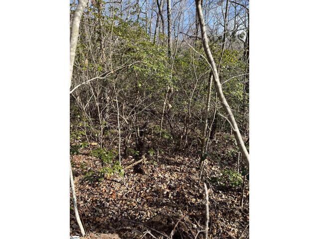 Photo of TBD Woodbine Road