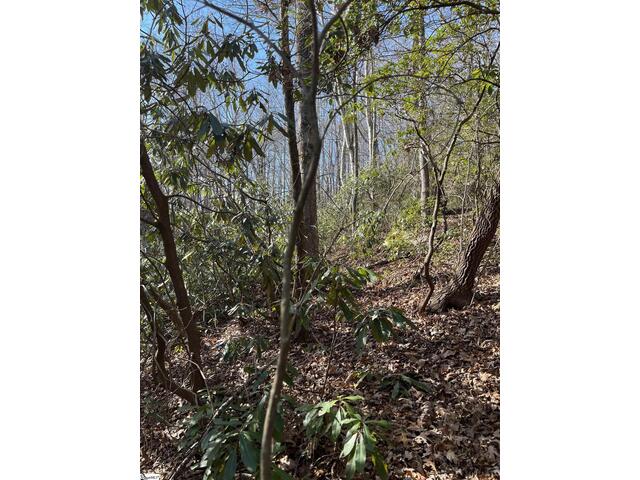 Photo of TBD Woodbine Road